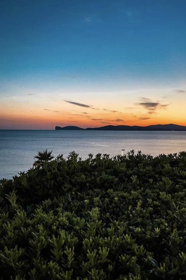 H24 Vacanze Appartement Villanova Monteleone Buitenkant foto